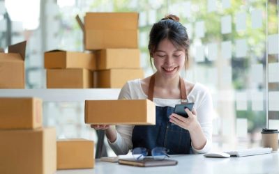 Ann M. Hartz, CPA and Associates’s Playbook to Choosing the Right Entity Type For Business Success